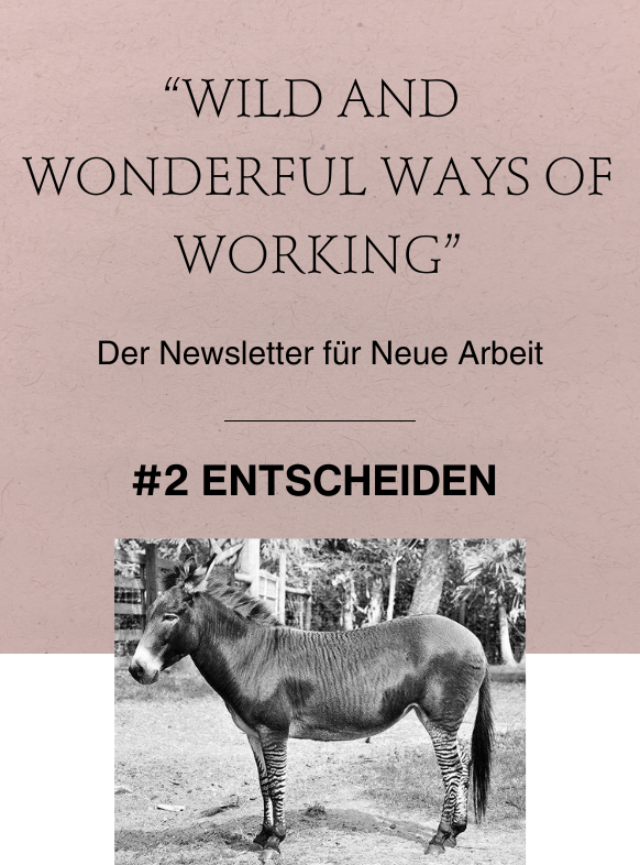 Wild and Wonderful Ways of Working: #2 ENTSCHEIDEN
