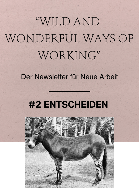 Wild and Wonderful Ways of Working: ENTSCHEIDEN