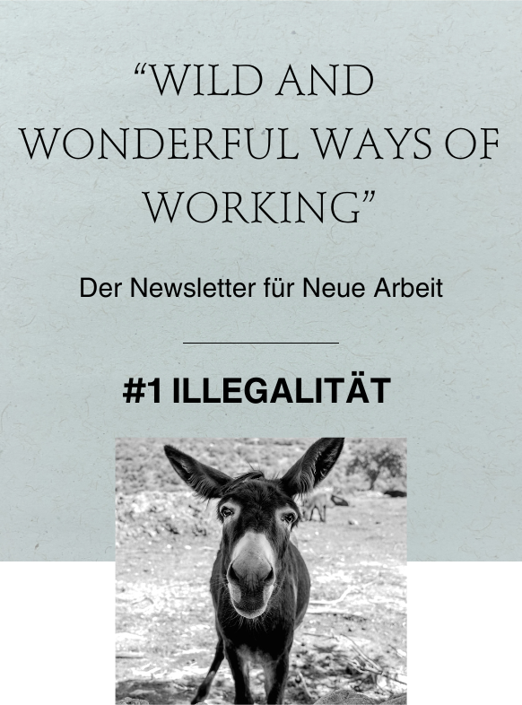 Wild and Wonderful Ways of Working: ILLEGALITÄT